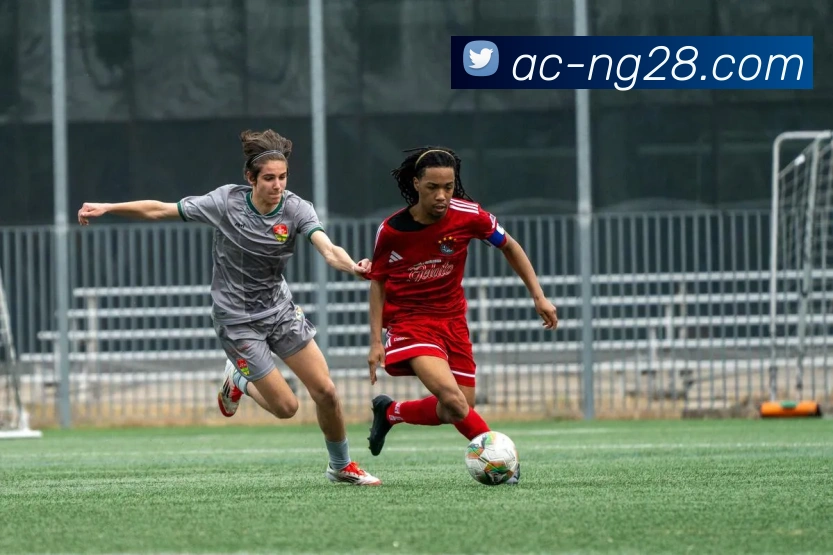 南宫NG28官网APP 封面图